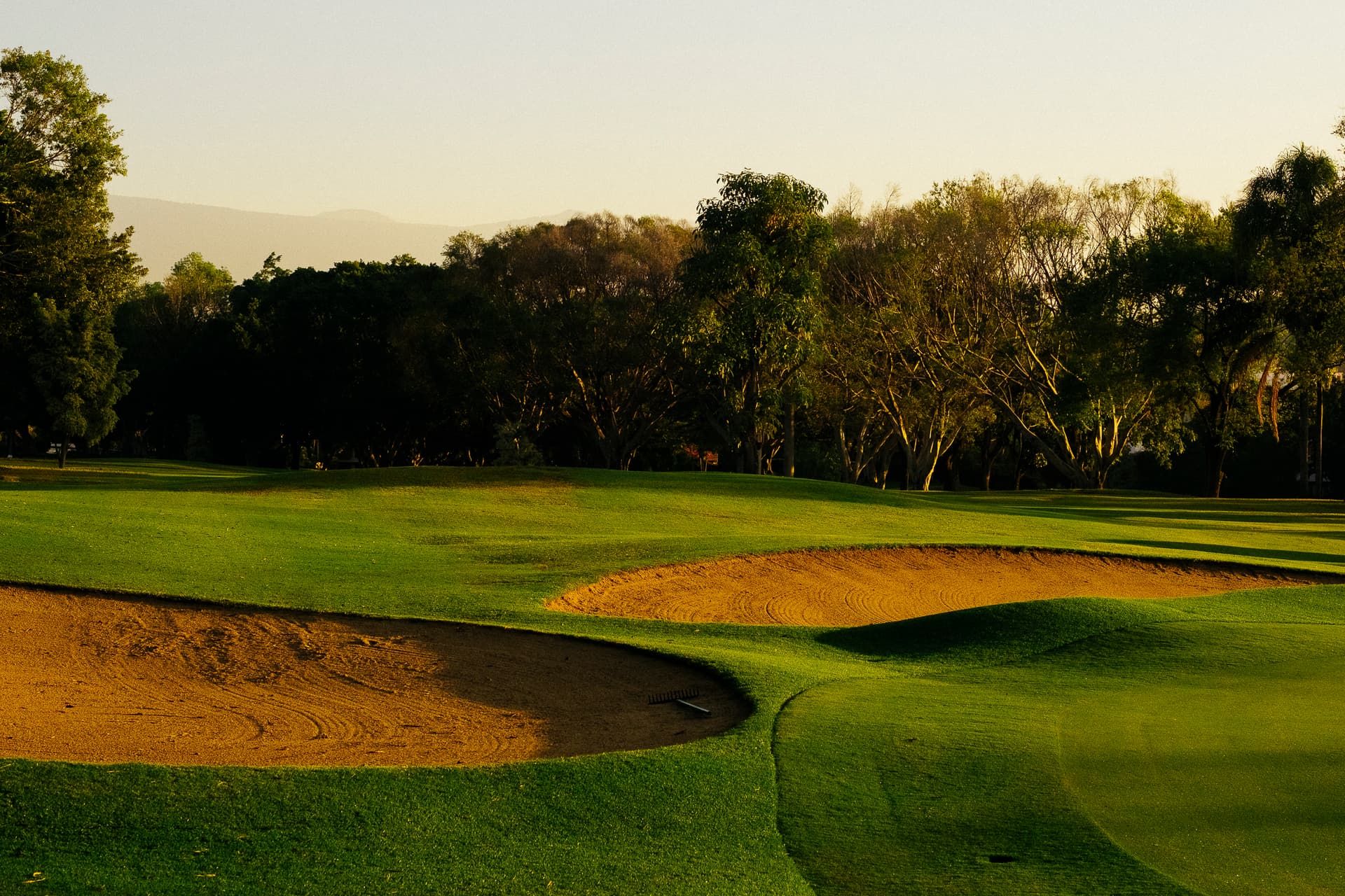 Green y bunker del campo